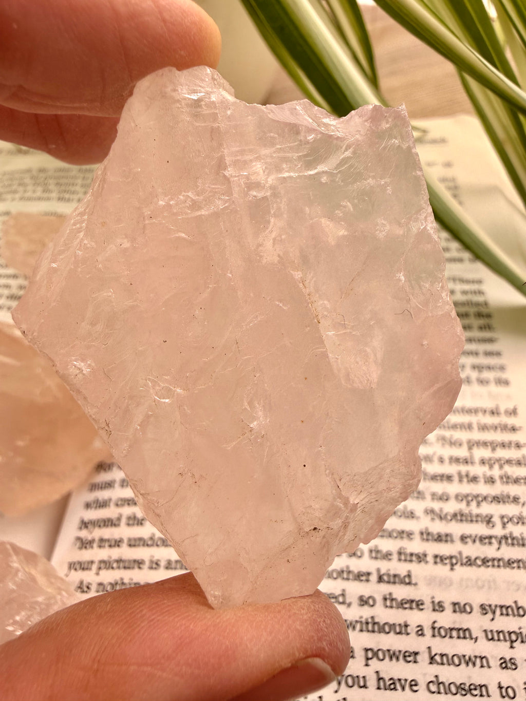 Rose Quartz crystal held by a hand on top of a book with green leaves in the background