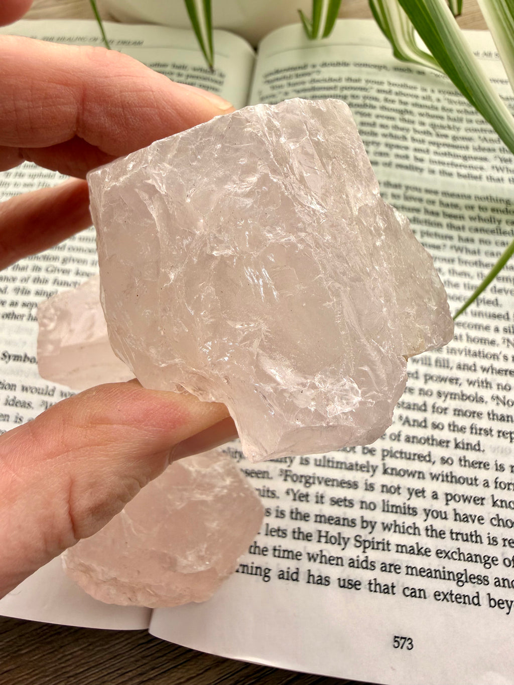 rose quartz crystal held over an open book with a plant in the background