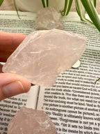 rose quartz crystal held over an open book with plants in the background