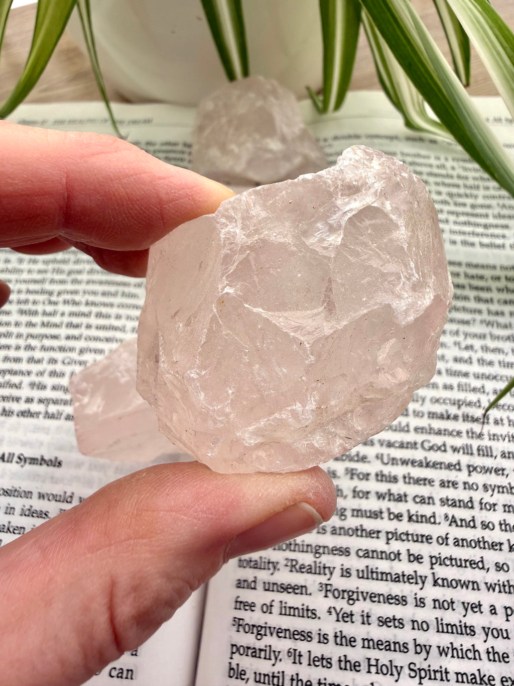 Hand holding a raw rose quartz crystal on top of a book with plants in the background