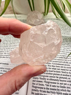 Hand holding a raw rose quartz crystal on top of a book with plants in the background