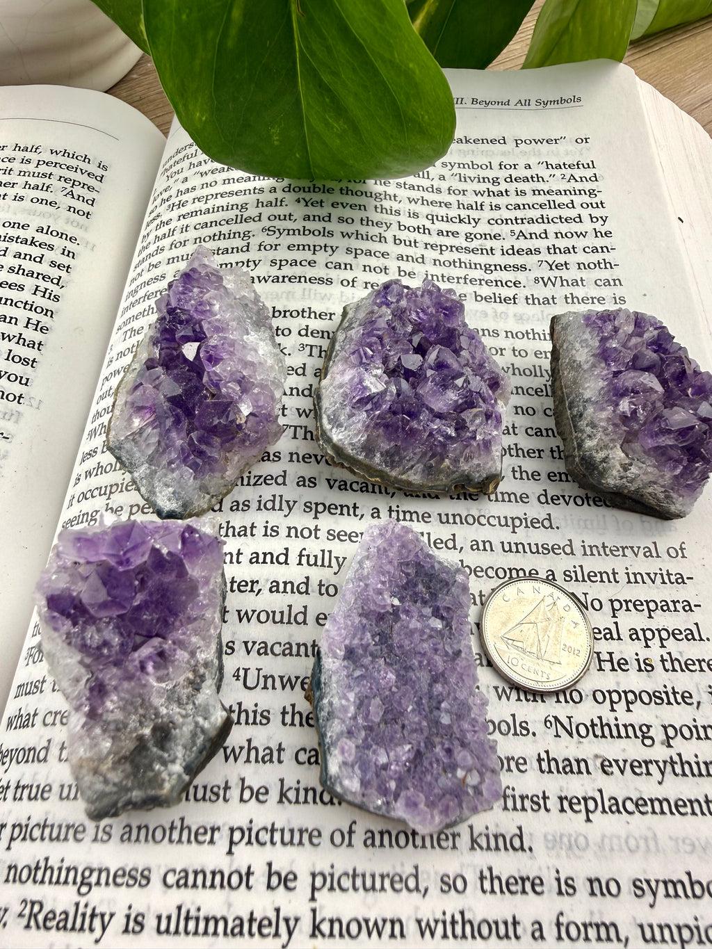 5 small amethyst clusters on book 