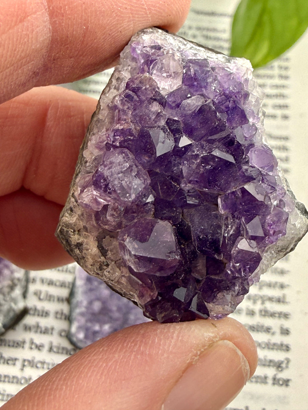Amethyst Cluster C