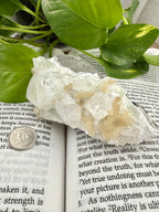 Apophyllite crystal on an open book with green leaves in the background