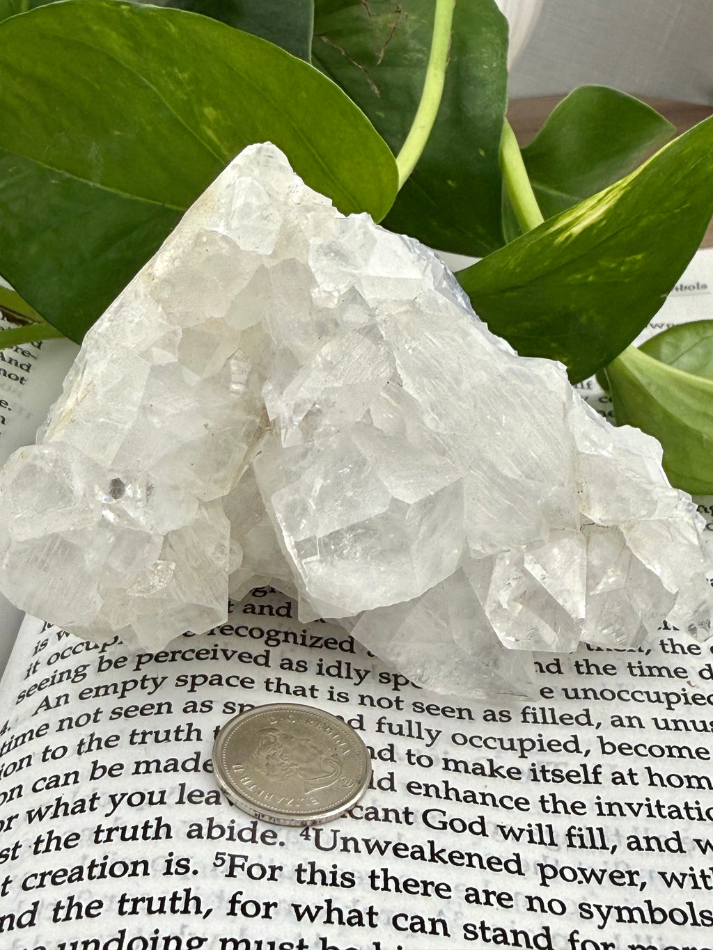 Clear apophyllite crystal rock on a book with leaves in the background
