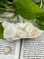 Apophyllite and Stilbite on a book with leaves and a dime for scale 