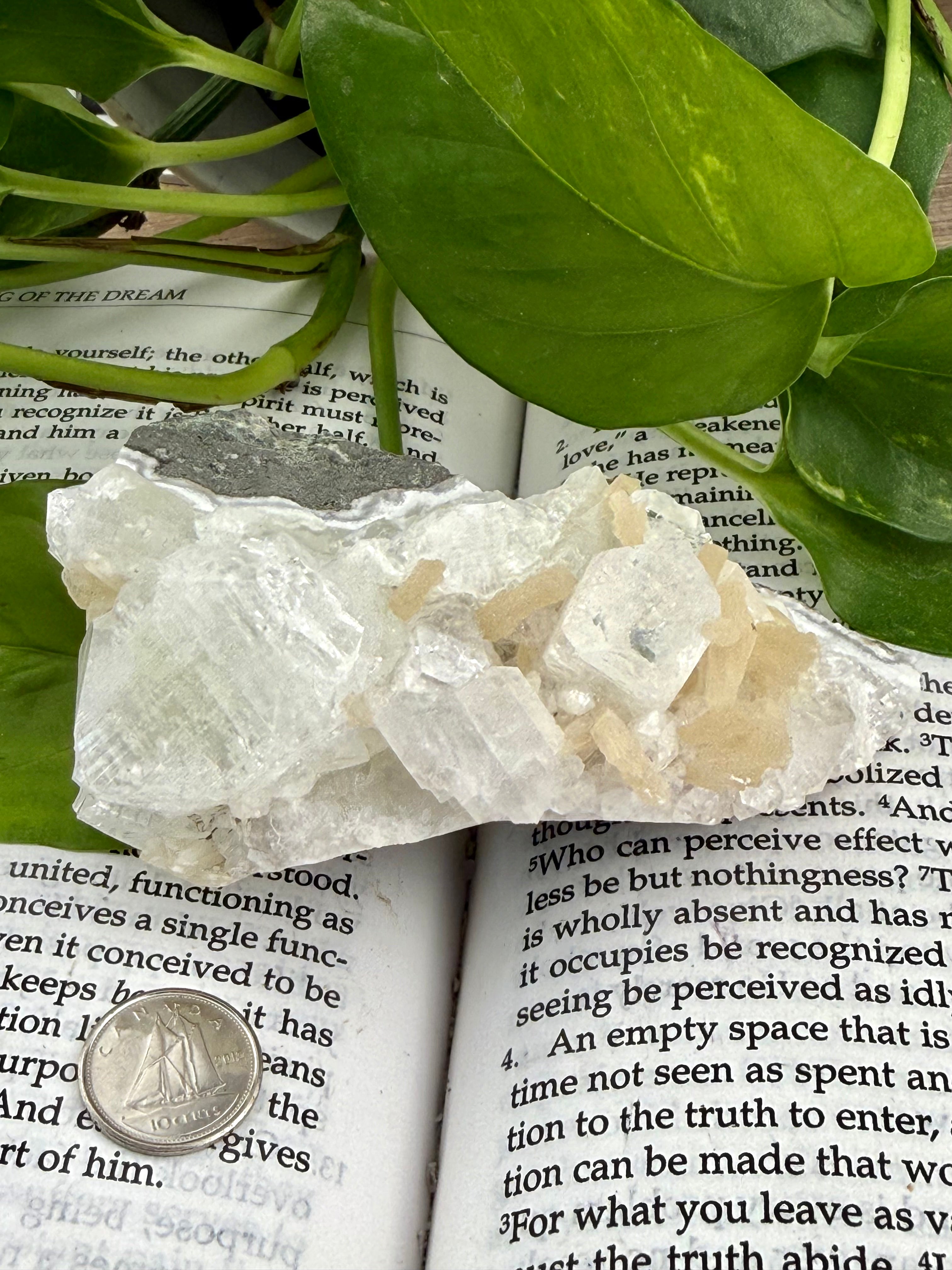 Apophyllite and Stilbite on a book with leaves and a dime for scale 