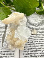Crystal formation on a book with green leaves in the background