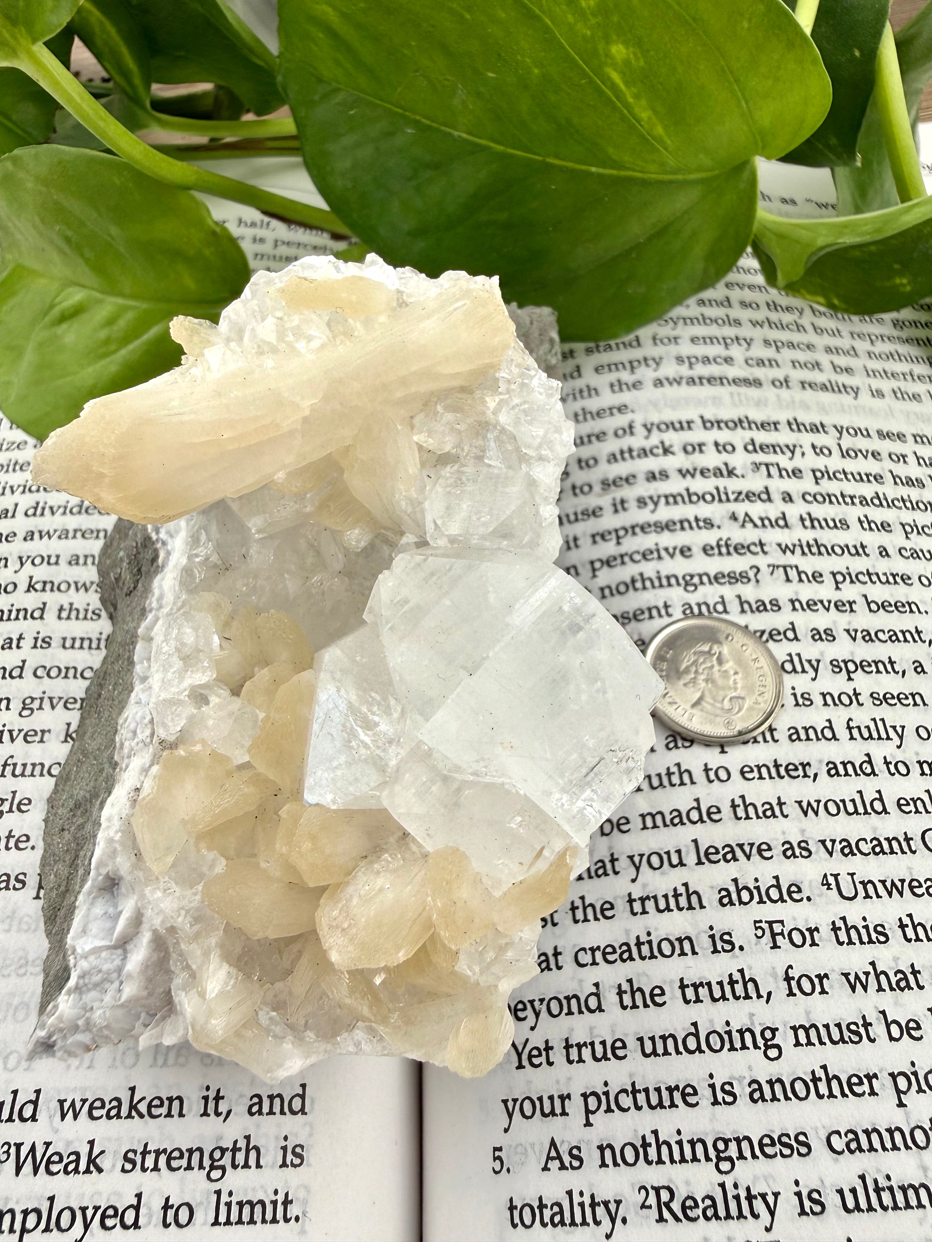 Crystal formation on a book with green leaves in the background