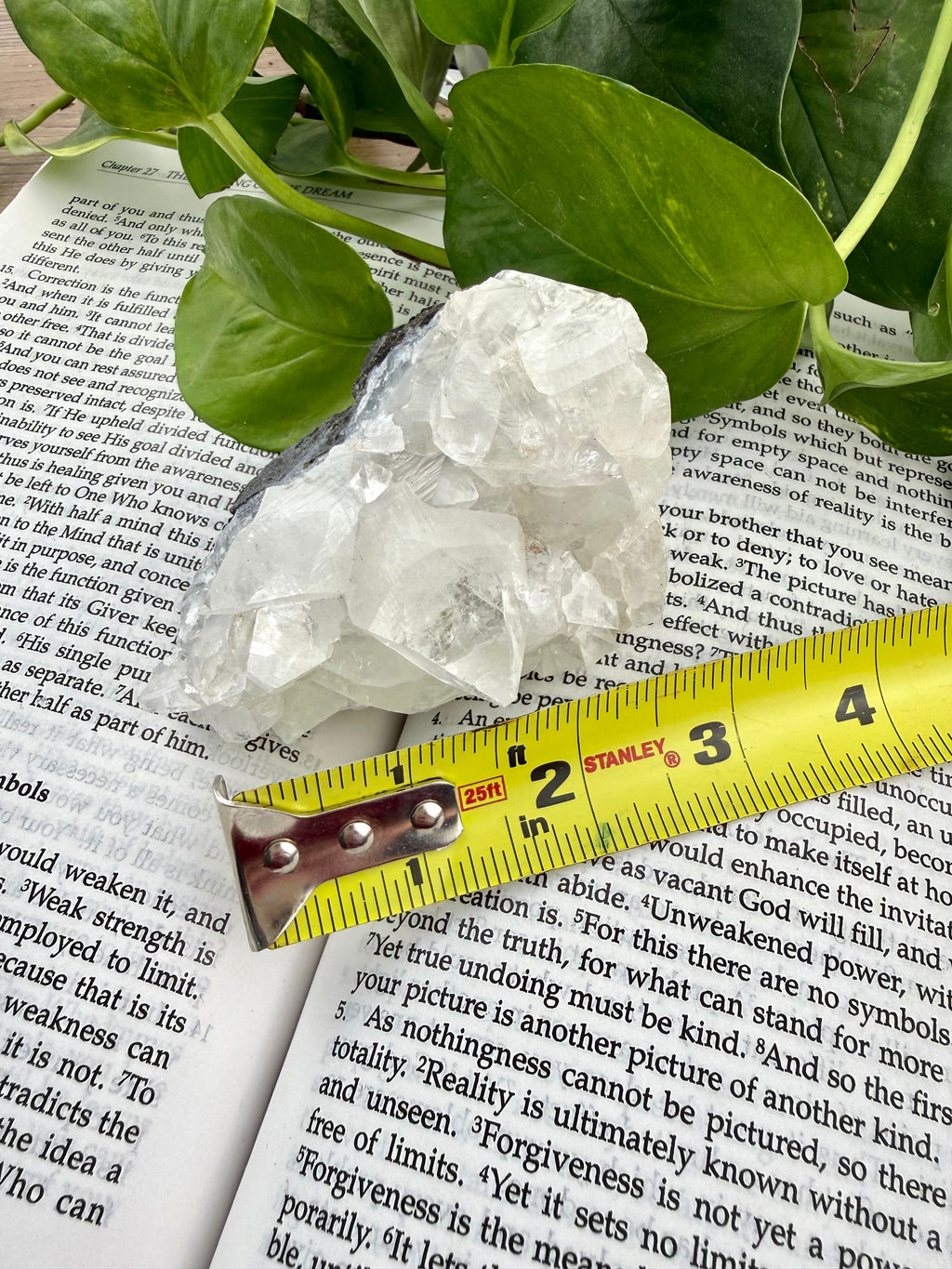 apophyllite crystal cluster on a book with a tape measure for scale, surrounded by green leaves.