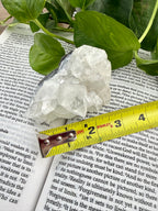 apophyllite crystal cluster on a book with a tape measure for scale, surrounded by green leaves.