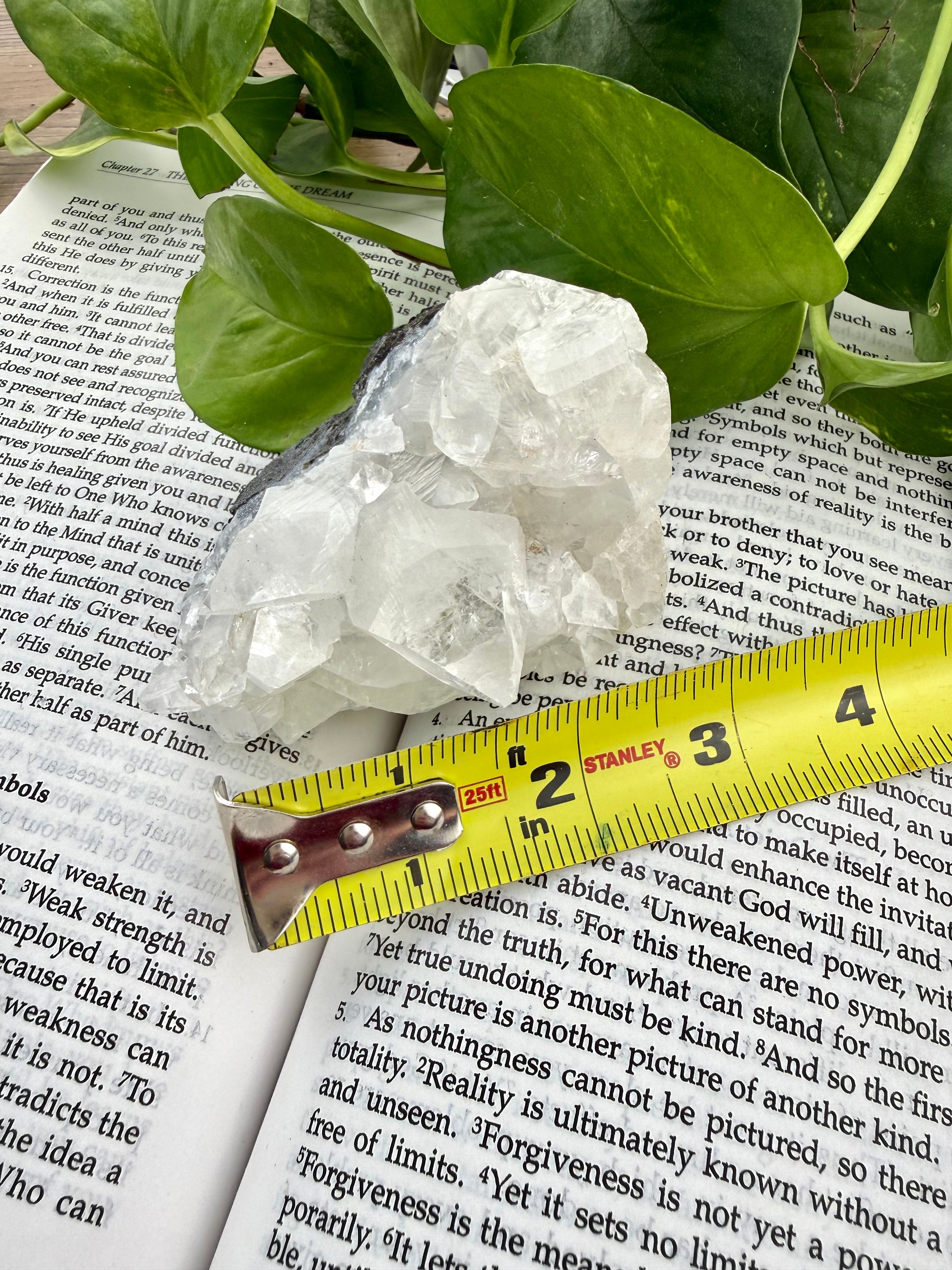 apophyllite crystal cluster on a book with a tape measure for scale, surrounded by green leaves.