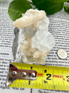 apophyllite on a book with measuring tape showing it to be about 2" wide 