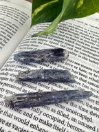 Three pieces of dark blue stone on an open book with green leaves.