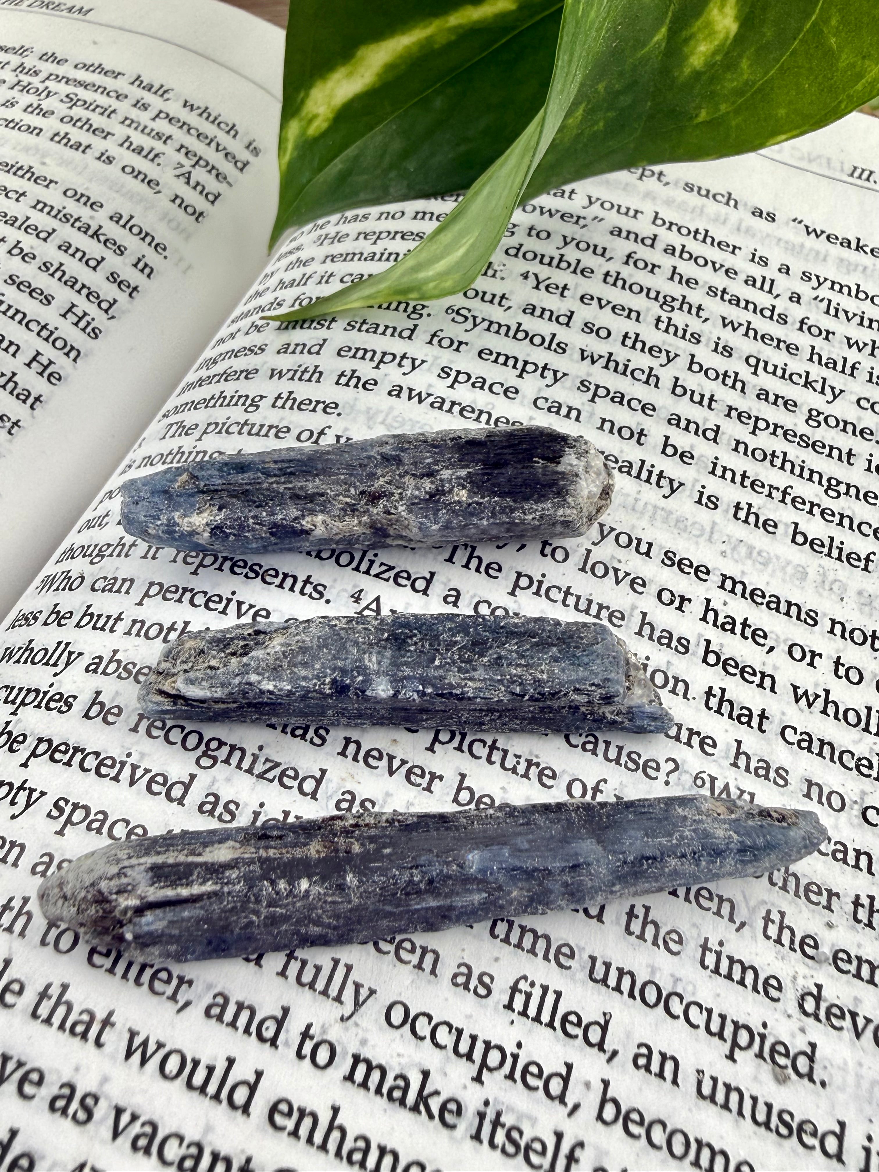 Three pieces of dark blue stone on an open book with green leaves.
