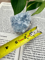 Crystal on an open book with a measuring tape showing it to be approx 2"