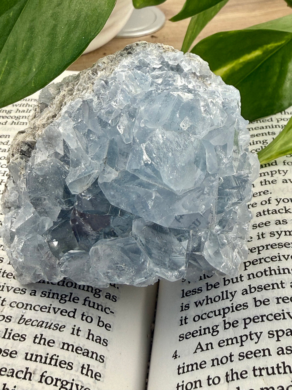 Crystal rock on an open book with green leaves in the background - celestite - blue crystal 