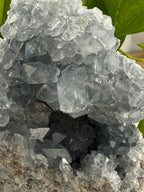 Close-up of a crystal formation with a dark center and light-colored exterior.