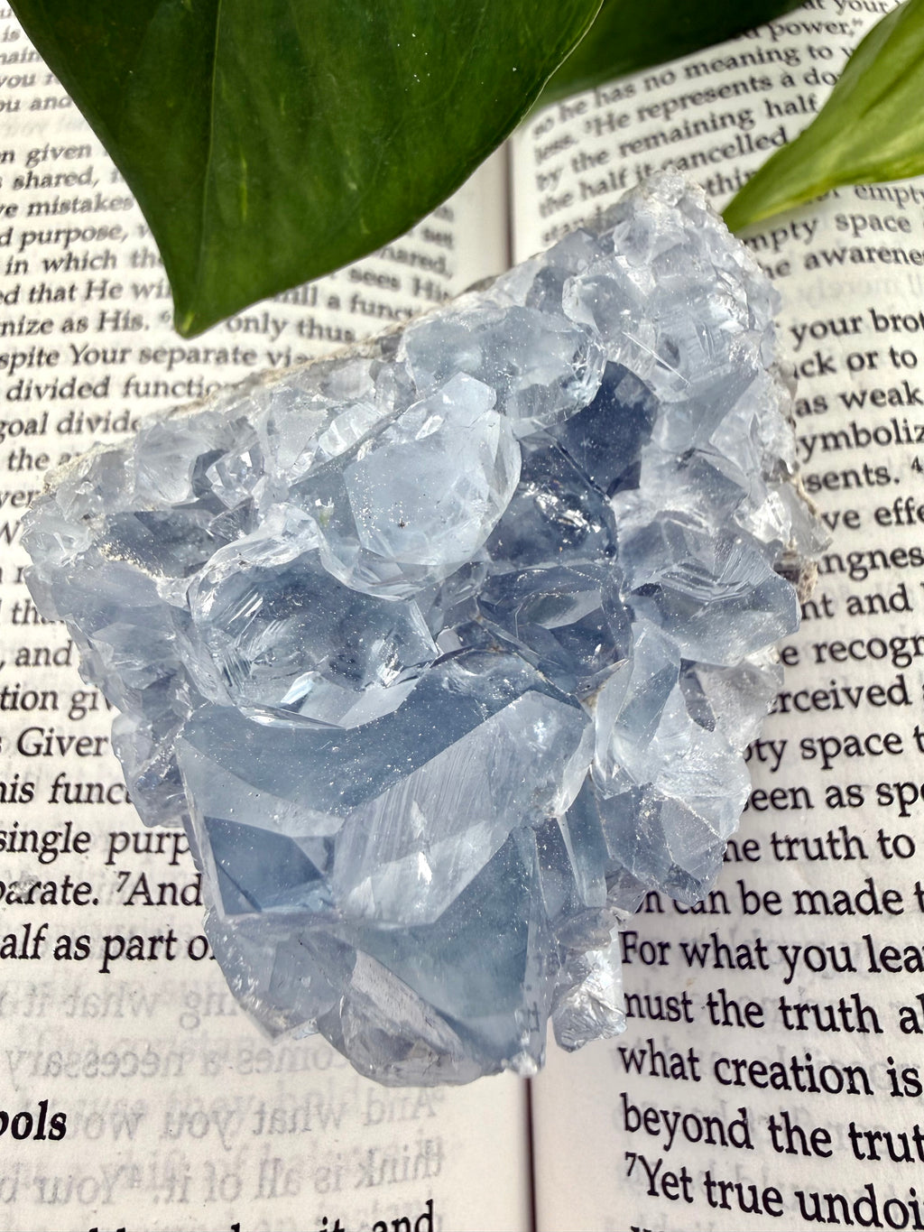 Crystal formation on an open book with green leaves