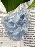 Crystal formation on an open book with green leaves