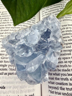 Crystal formation on an open book with green leaves