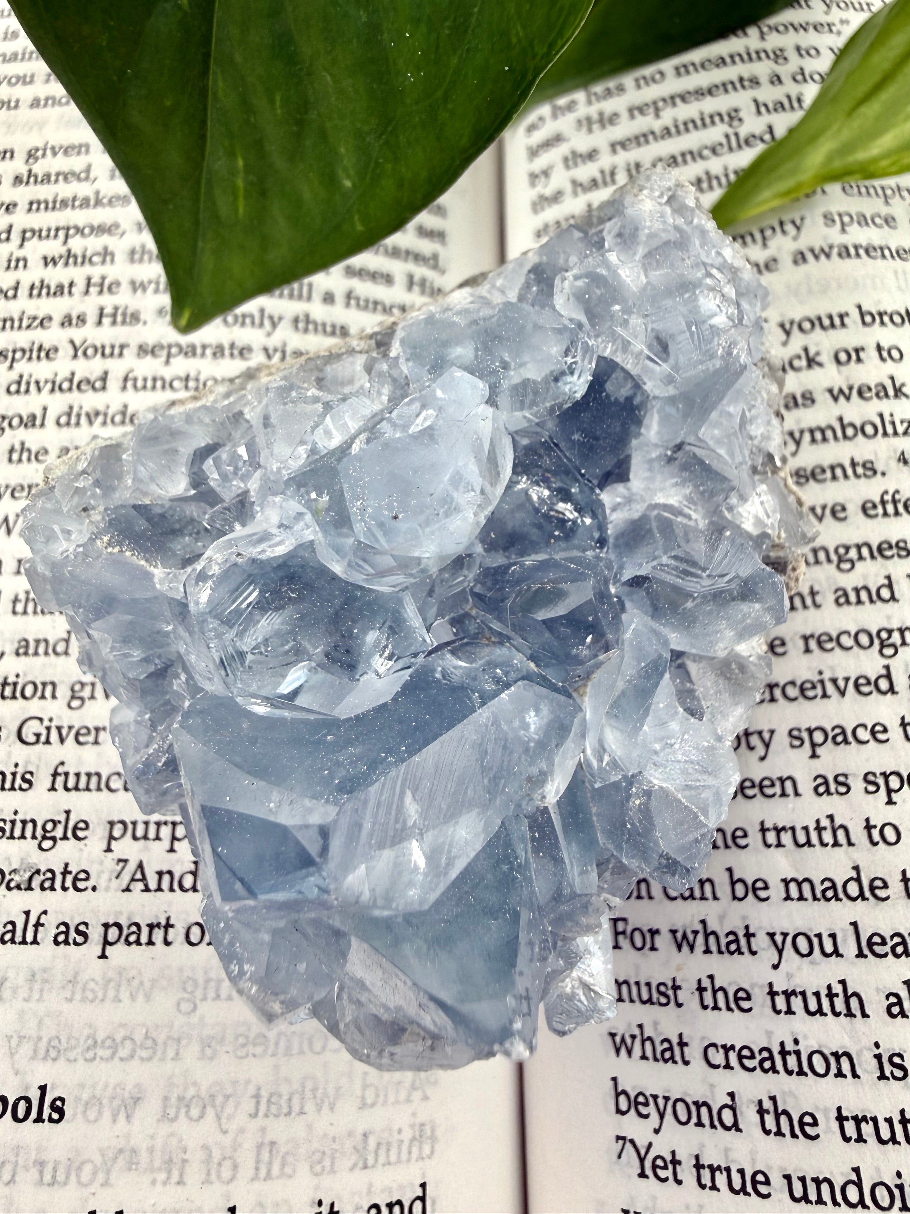 Crystal formation on an open book with green leaves