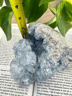 Measuring tape showing celestite to be about 2 inches deep 
