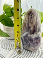 Large amethyst crystal next to a measuring tape on an open book with green leaves in the background