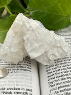 Apophyllite crystal on an open book with green leaves in the background