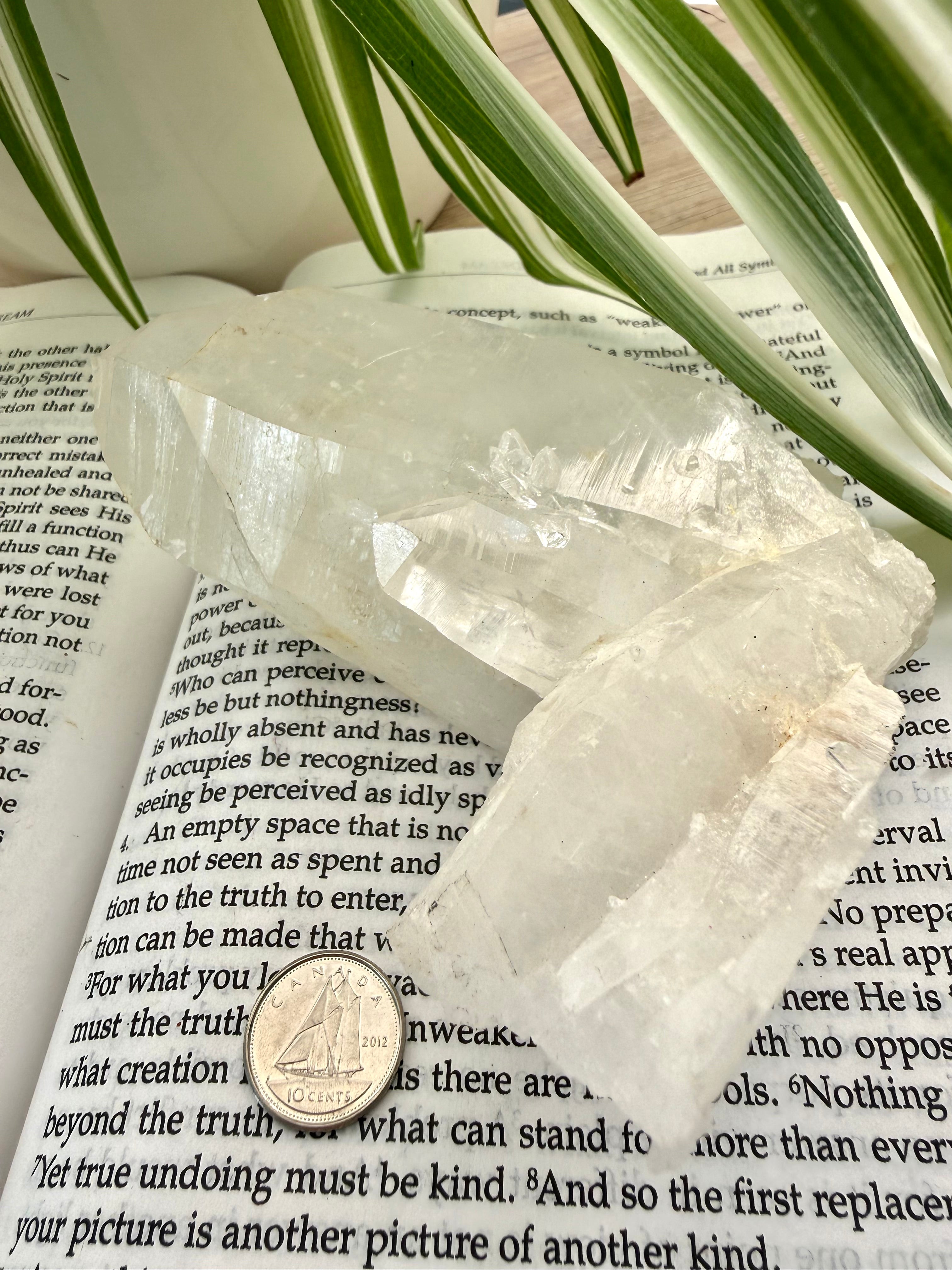Quartz crystal on an open book with a coin for scale, next to a plant