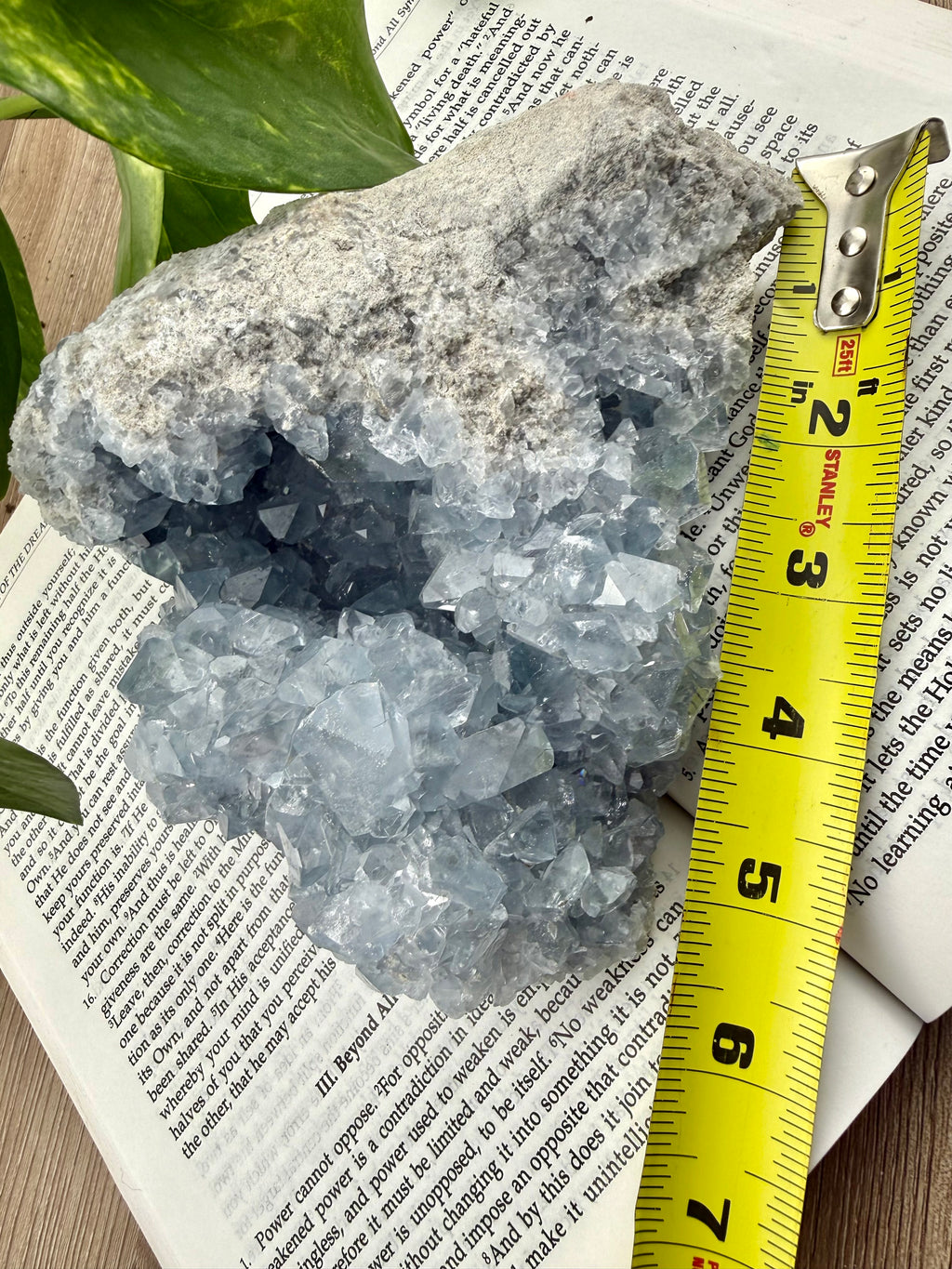 Celestite with measuring tape showing it to be about 6 inches across 