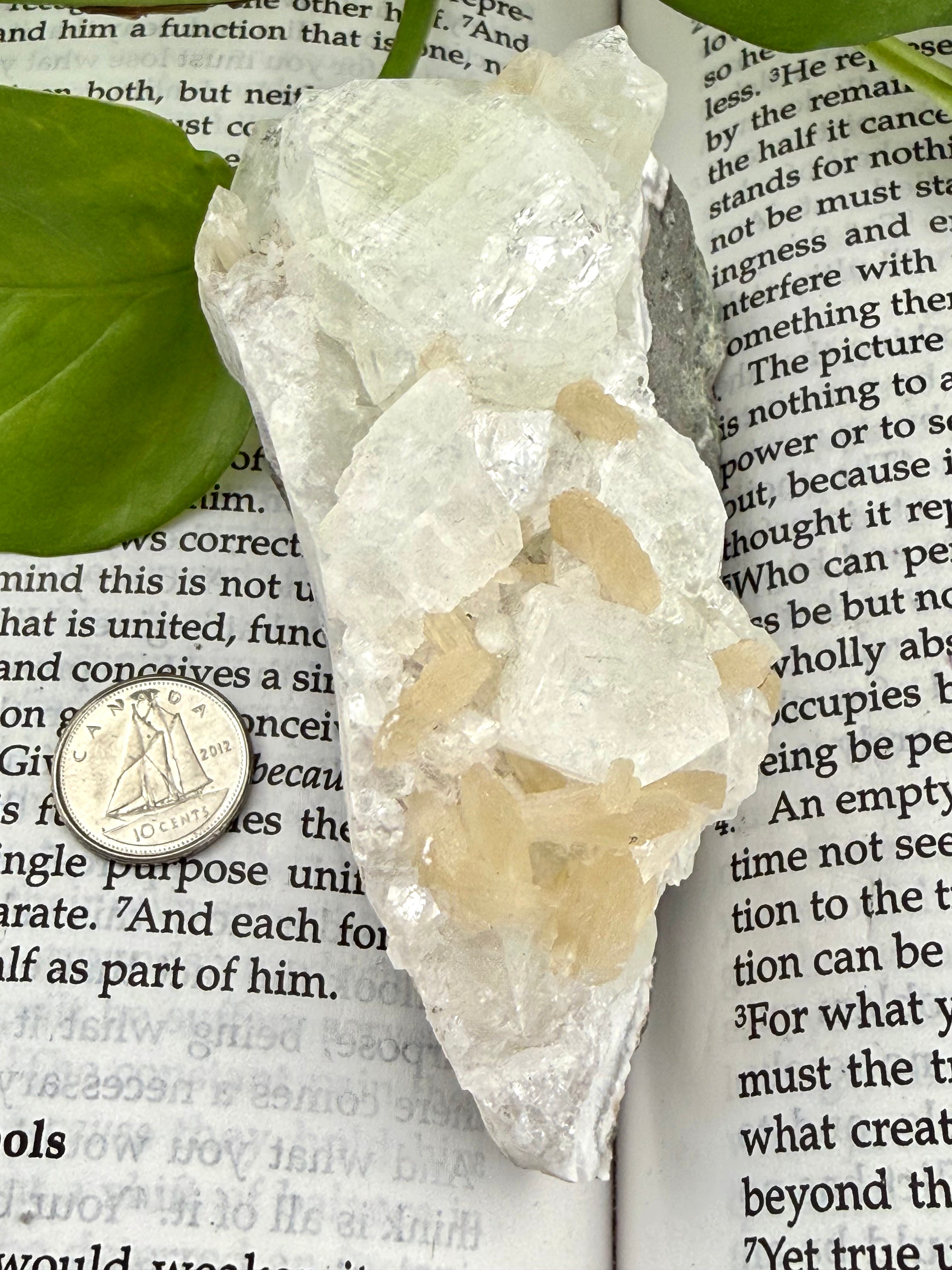 Apophyllite crystal rock on a piece of paper with a coin for scale