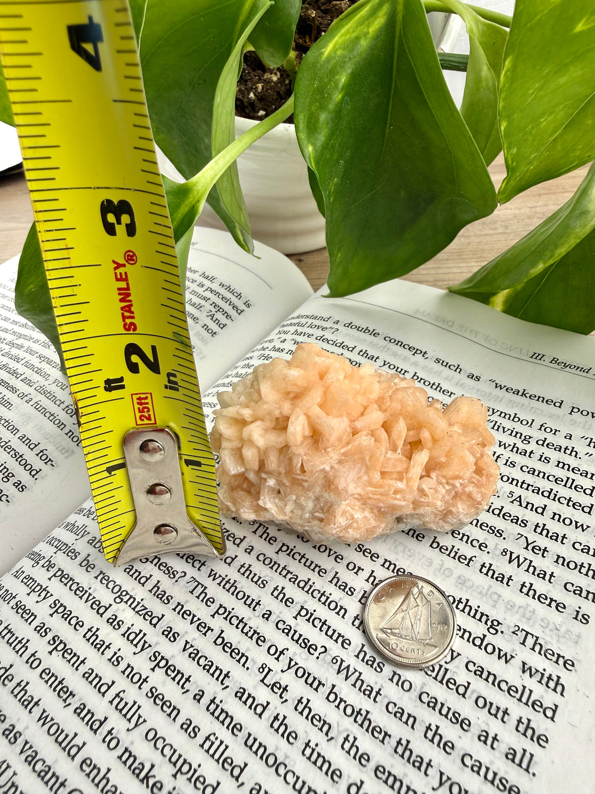 Stilbite crystal on book with measuring tape to show it's 2 inches high 