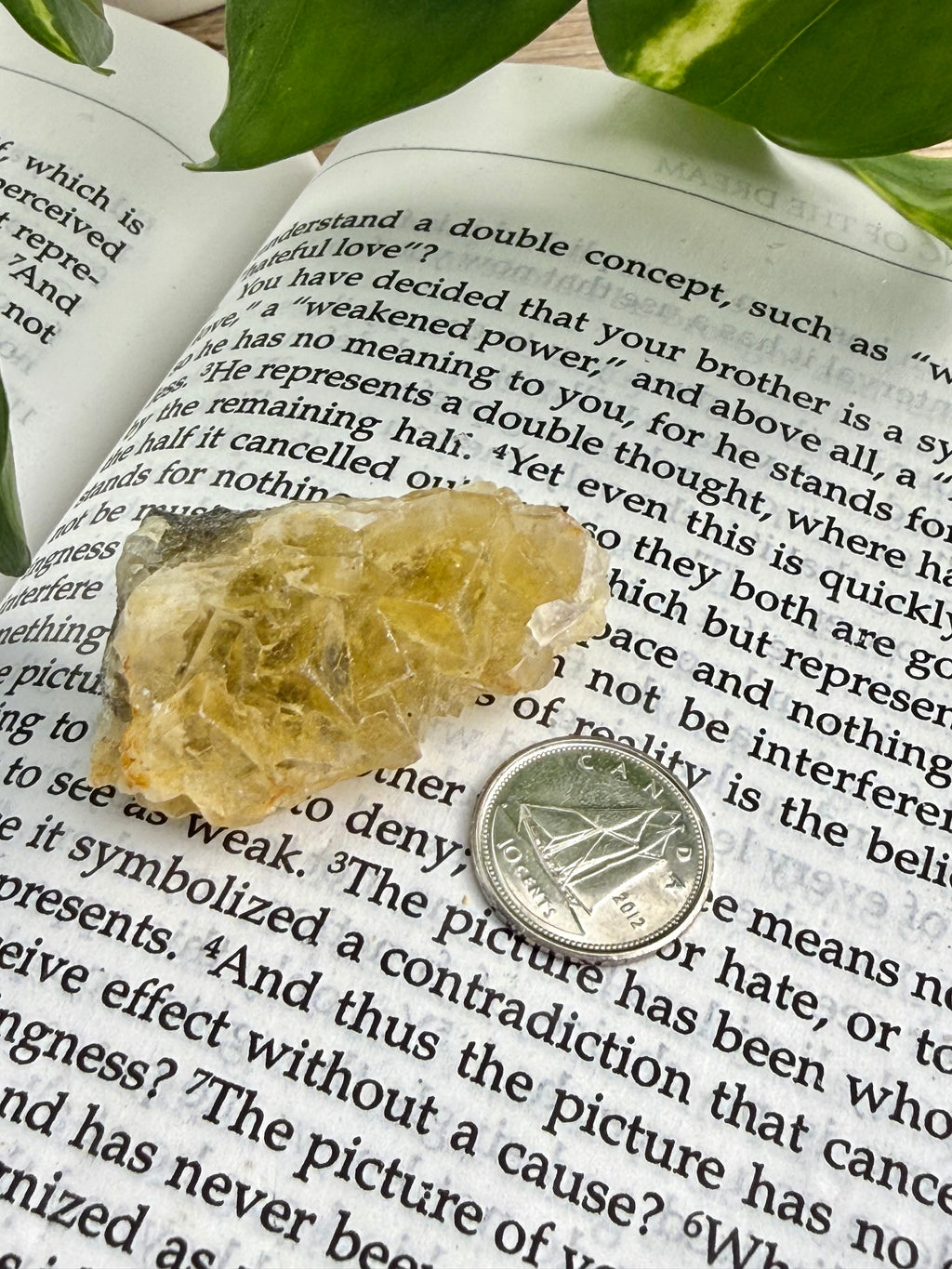 yellow fluorite on an open book with a dime for scale 