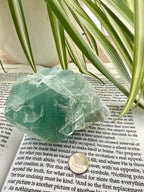 Fluorite crystal on a book with green leaves in the background