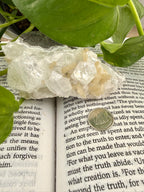 Apophyllite rystal on an open book with green leaves