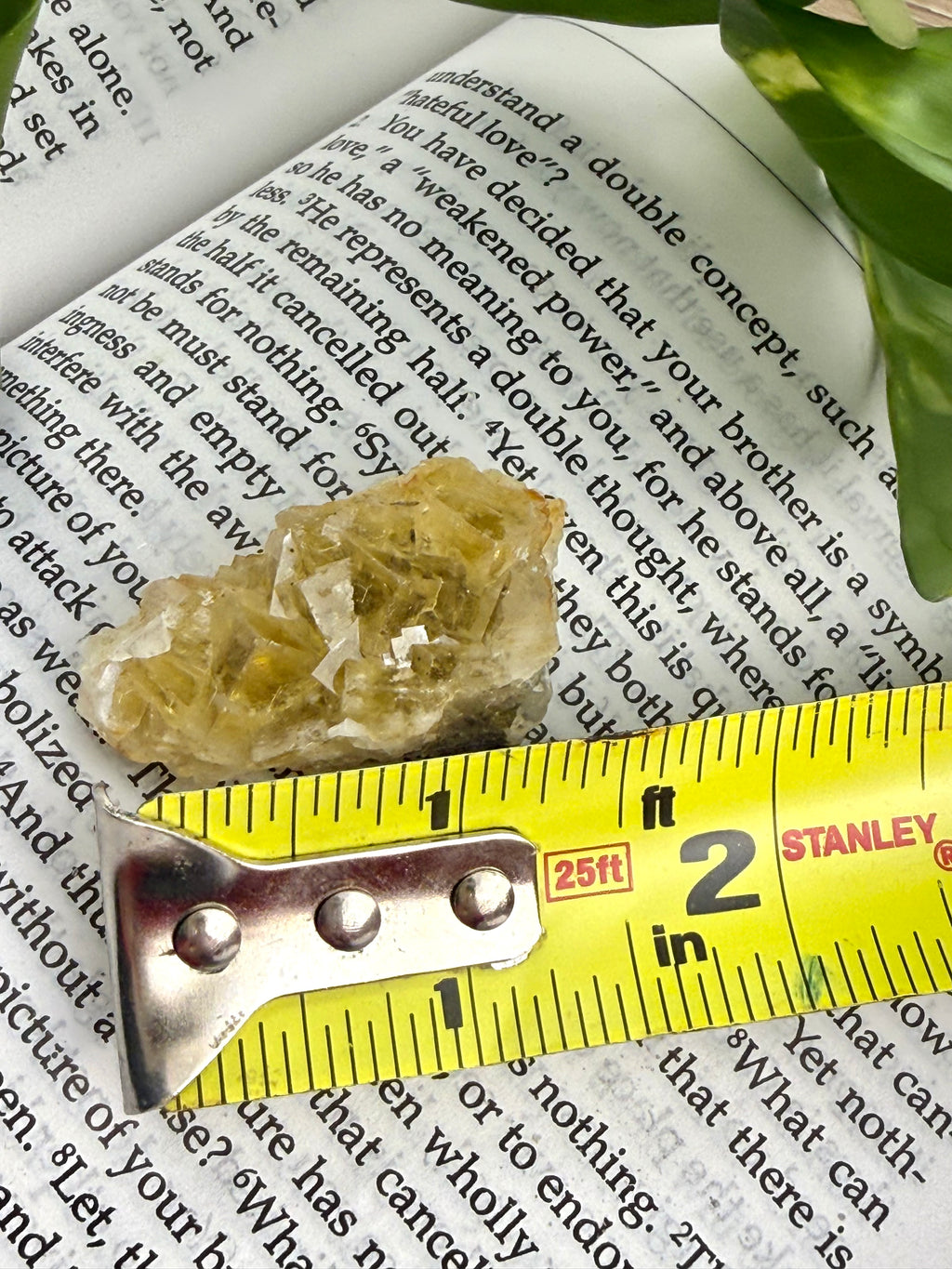 yellow fluorite with measuring tape showing it to be about 1.5"