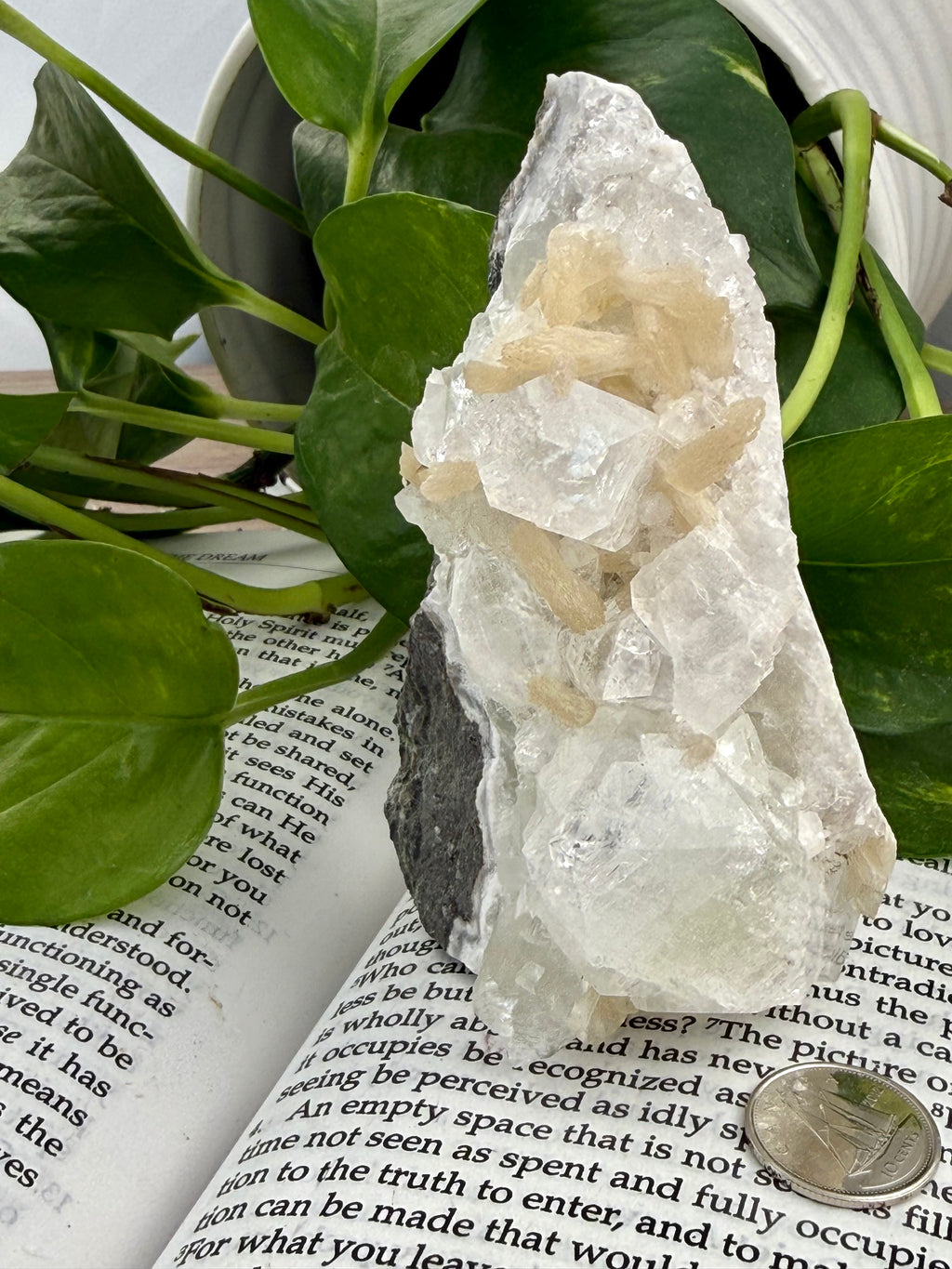 Apophyllite standing on a book with leaves and a dime for scale 