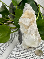 Apophyllite standing on a book with leaves and a dime for scale 