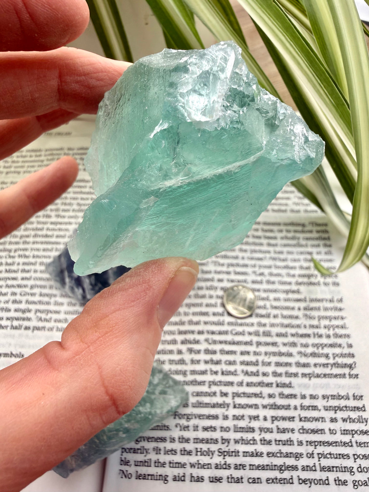 Hand holding a green fluorite crystal over an open book with plant leaves in the background