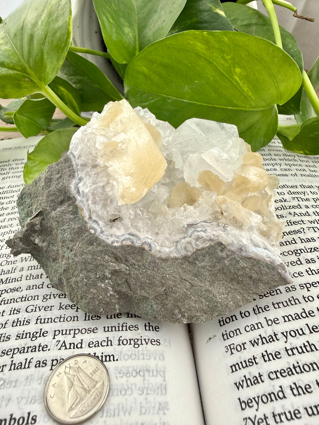 Apophyllite on a book with a dime to show scale 