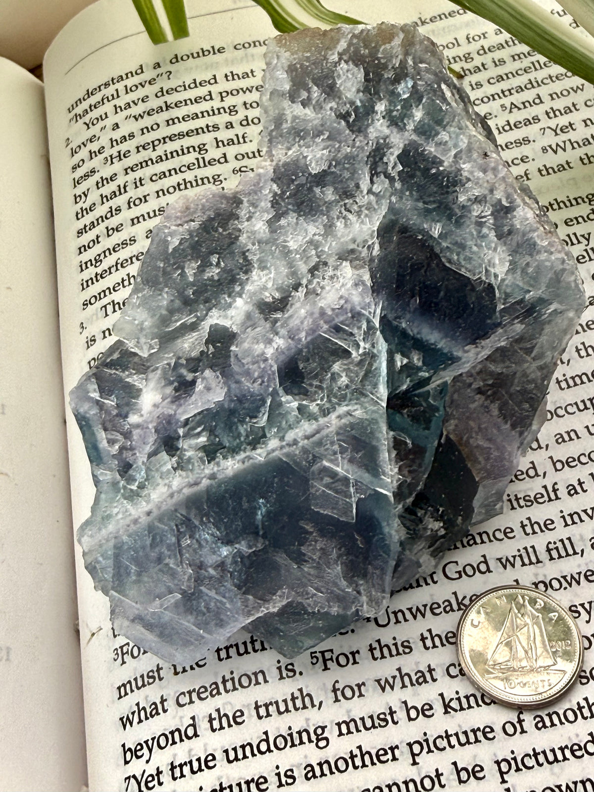 Fluorite crystal on an open book with a coin for scale