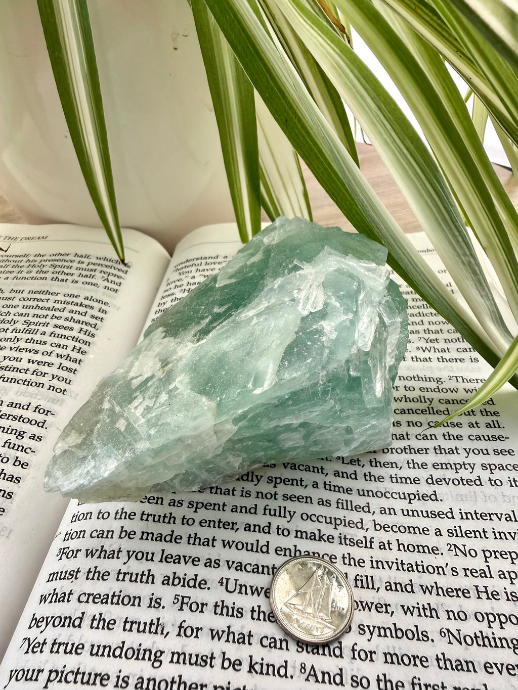Fluorite crystal on an open book with a plant in the background