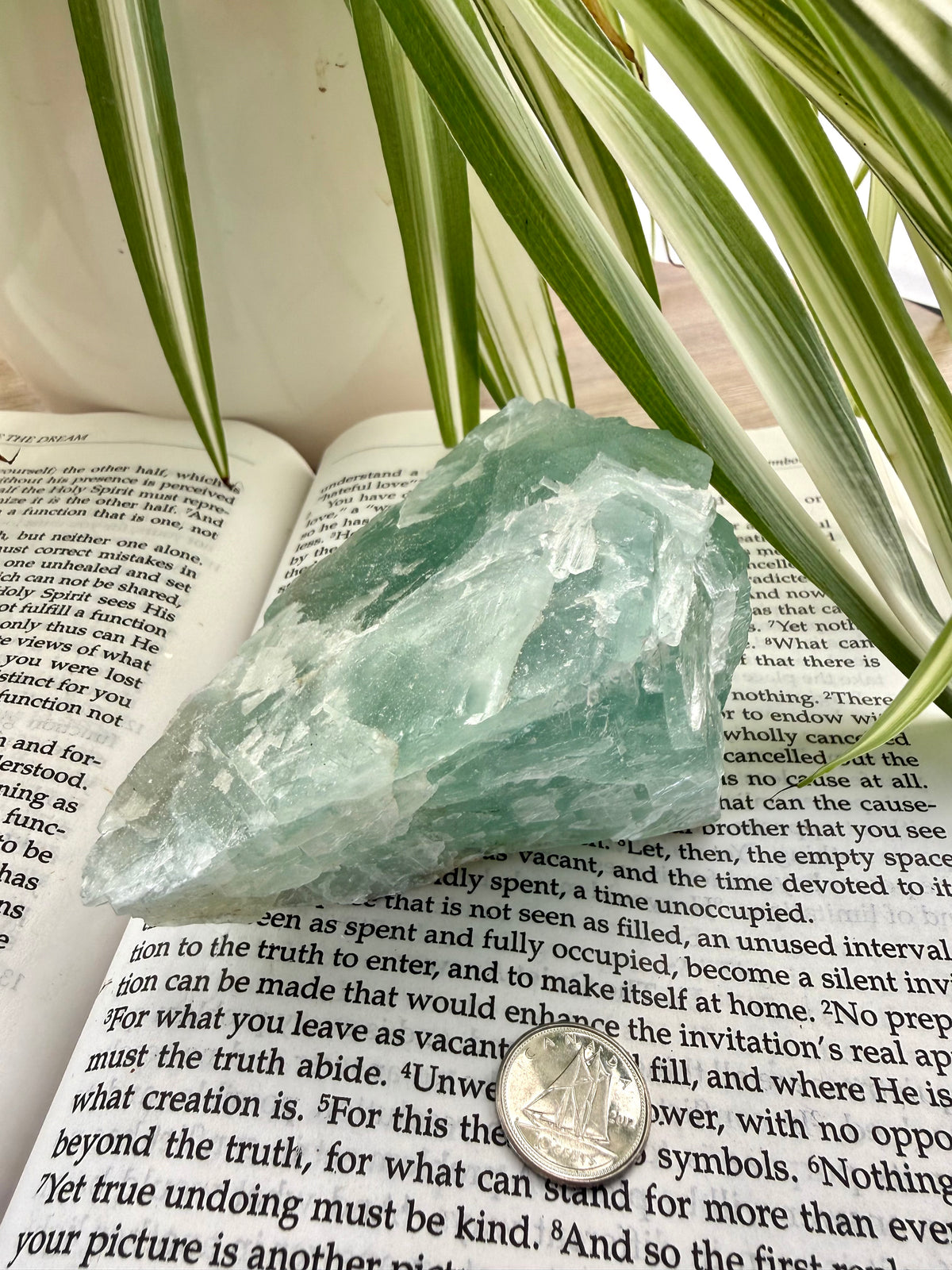 Fluorite crystal on an open book with a plant in the background