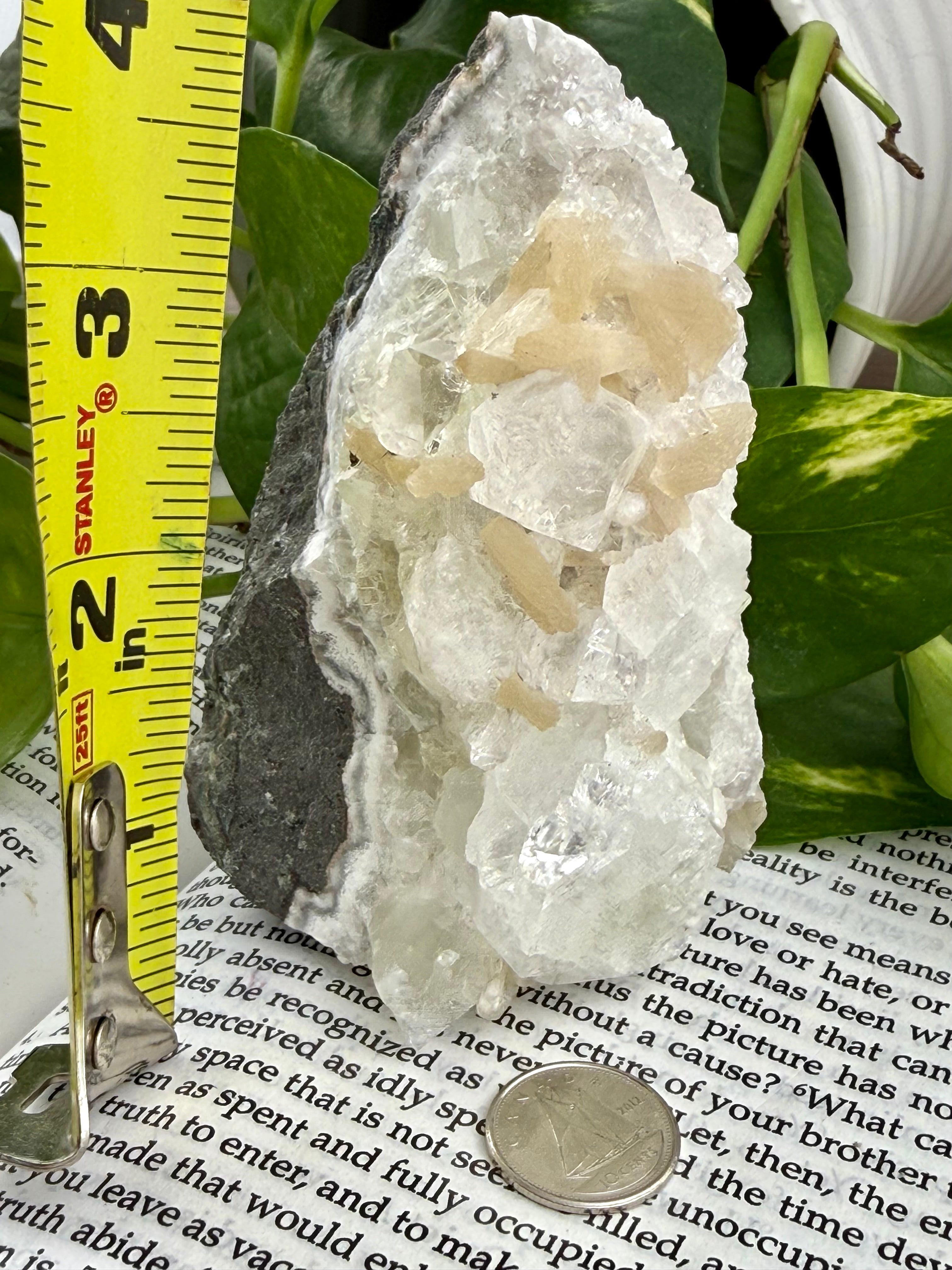 Apophyllite standing with measuring tape showing it to be approx 4" high 