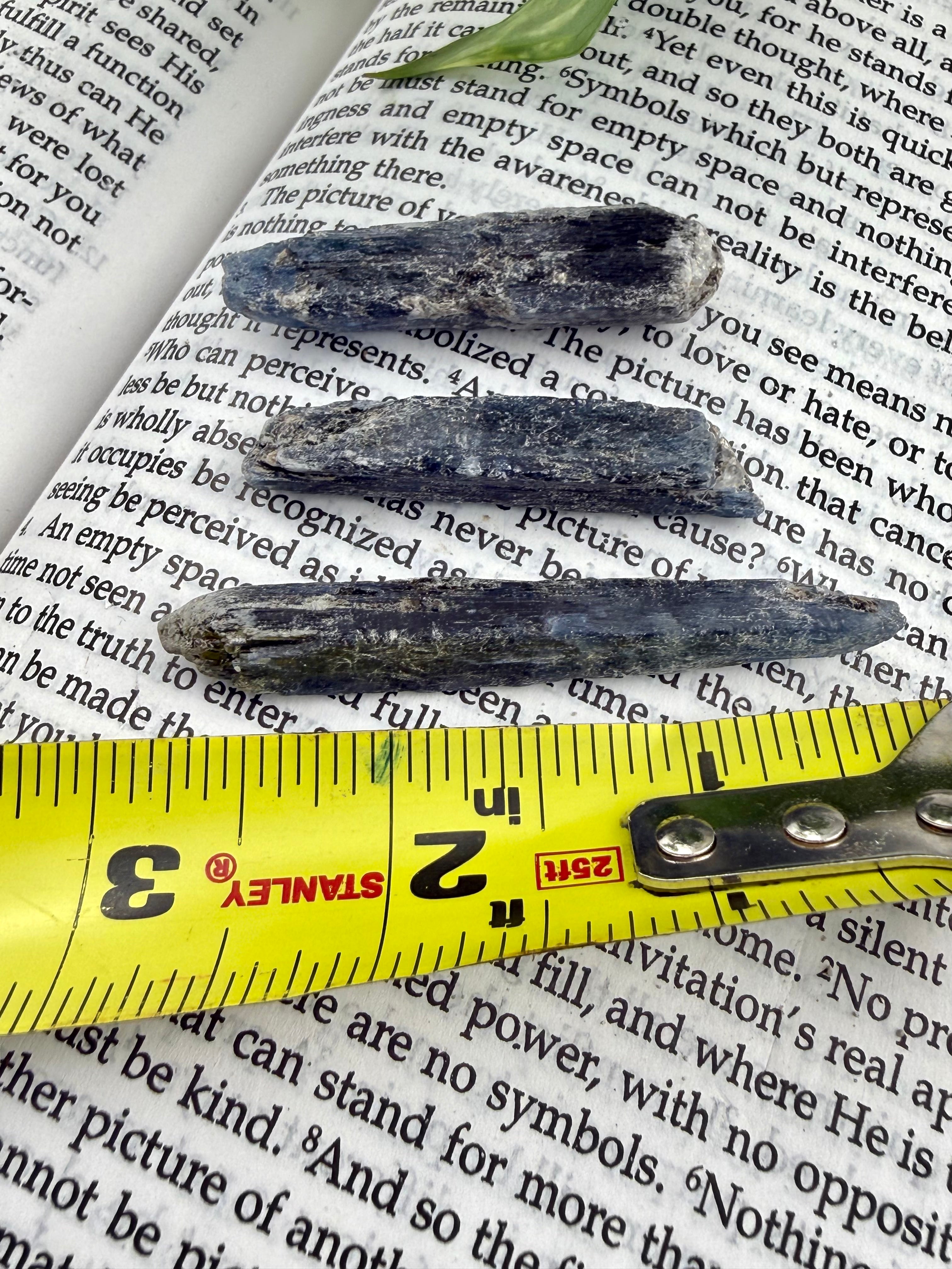 Three dark stone objects on top of an open book with a ruler for scale. These measure from 2-3 inches