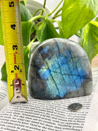 Labradorite stone with blue and green patterns on a piece of paper, next to a measuring tape.