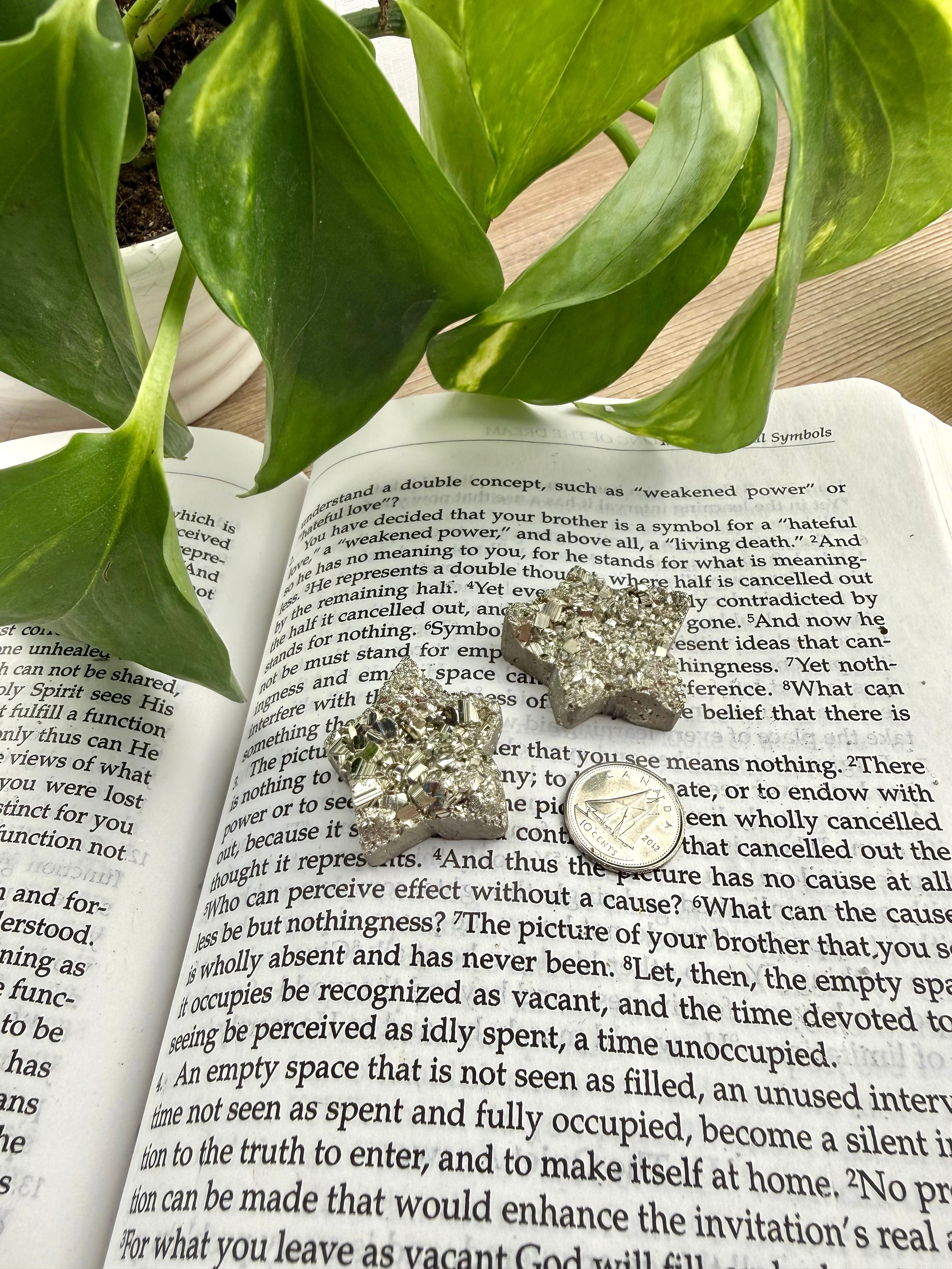 Open book with a decorative stone on top, surrounded by green leaves. stones are pyrite stars