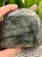 Hand holding a large labradorite stone over a book with green leaves in the background - shows the back of the labradorite in this listing