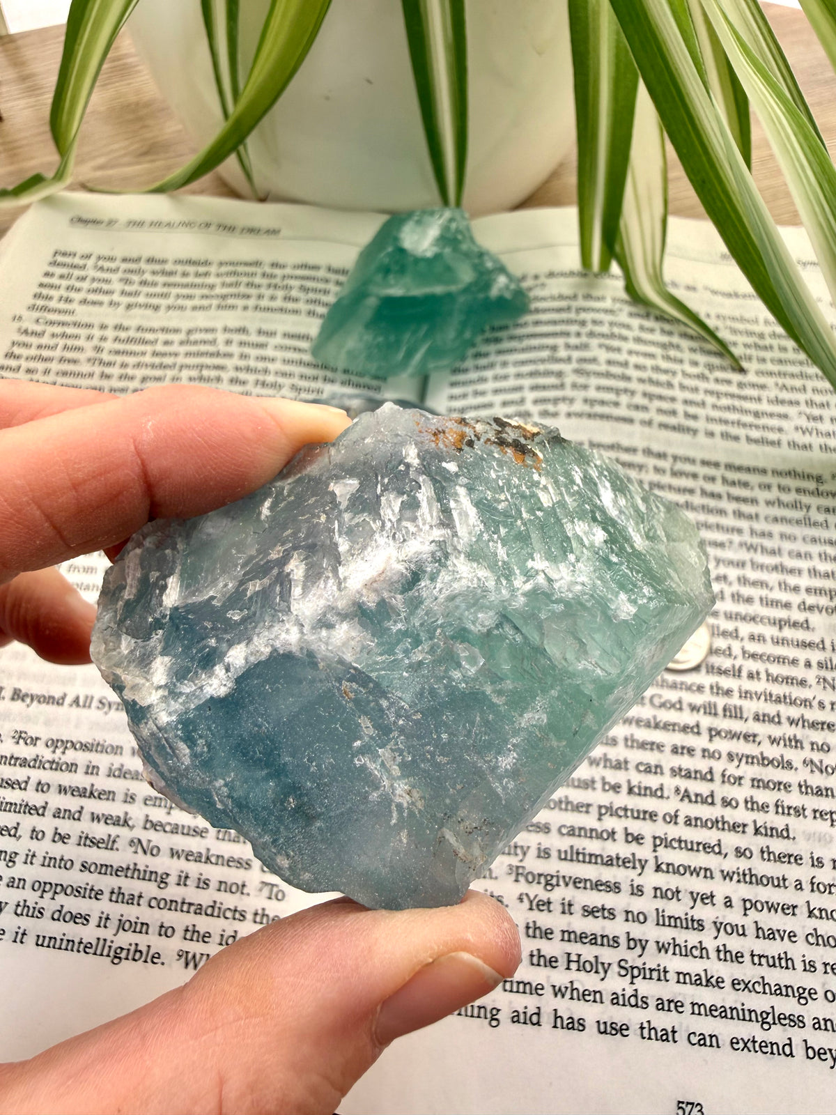 Hand holding a fluorite crystal over an open book with plants in the background